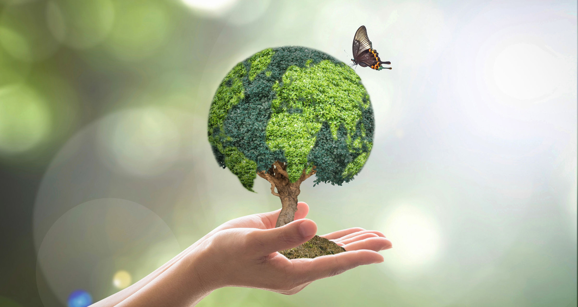 Ihobe eta APIAk biodibertsitate eta natura-ondareari buruzko Ingurumen-komunikazioaren Eskola abiatuko dute UPV/EHUren Uda Ikastaroetan