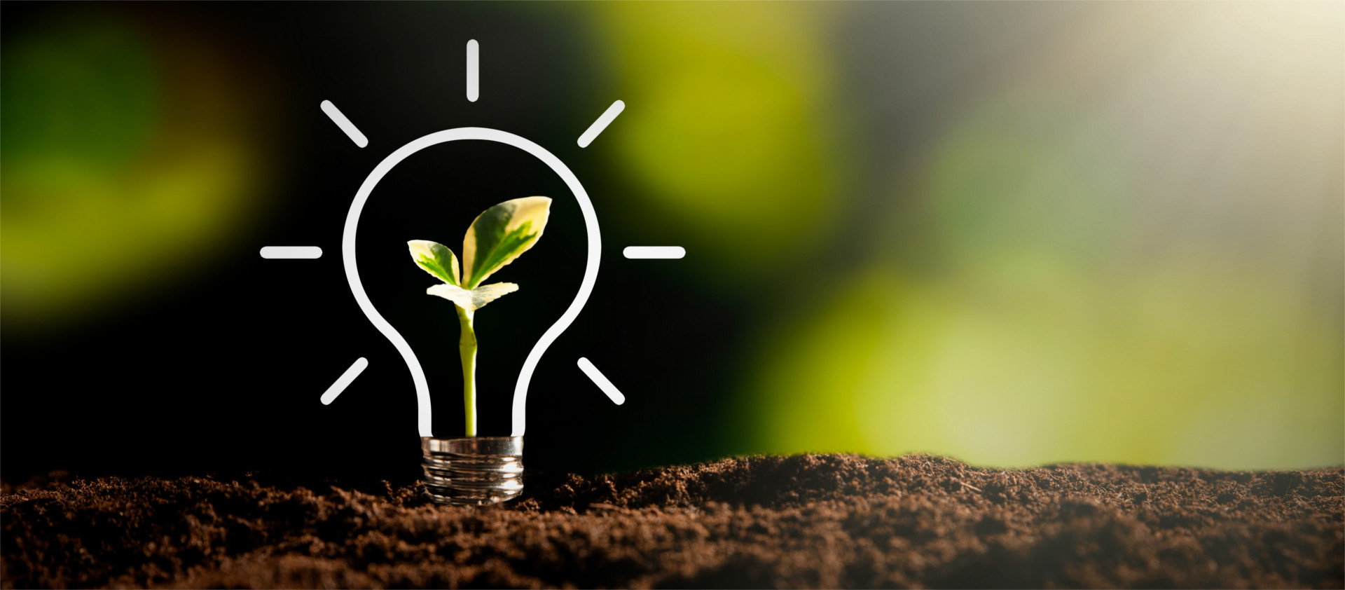 La plataforma europea S3 de especialización inteligente selecciona el programa de ecoinnovación del Gobierno Vasco como ejemplo a seguir