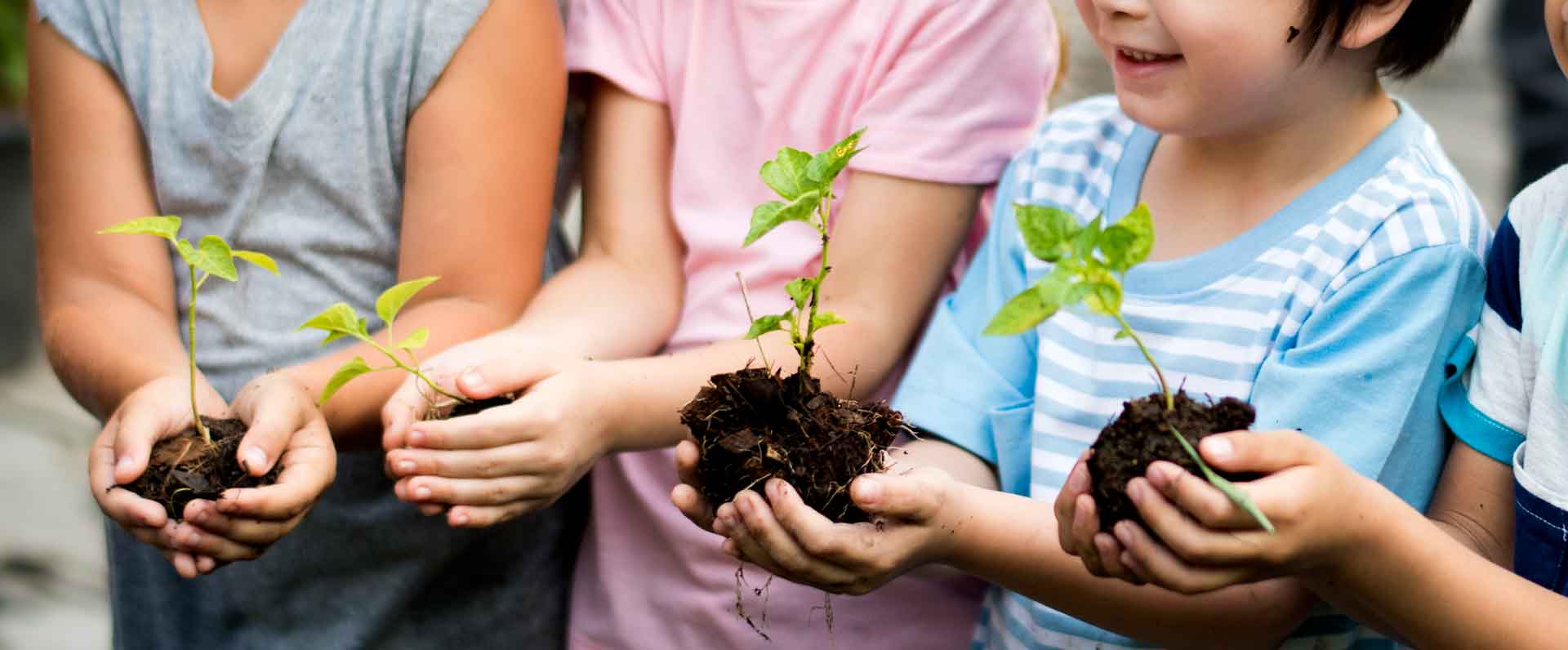 El Programa Escolar de Educación y Sensibilización Ambiental de Ekoetxea Urdaibai inicia su actividad para el curso 2020-2021