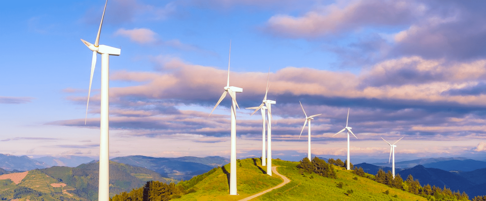 Euskadi refuerza su compromiso ante el cambio climático al cumplirse cinco años del Acuerdo de París