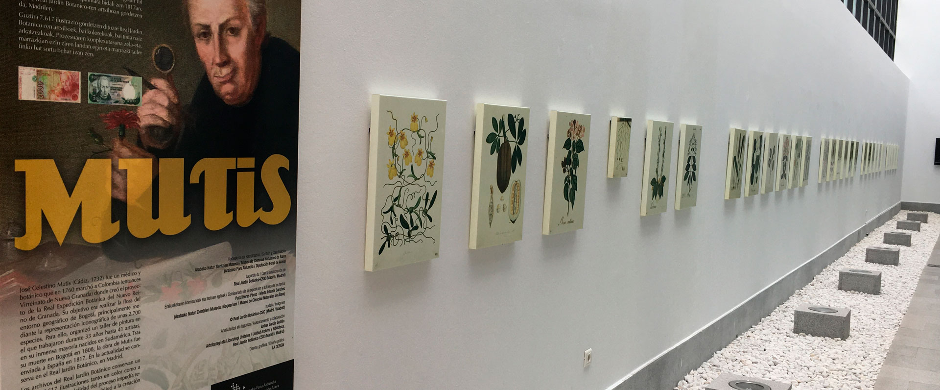 Prolongada la exposición MUTIS hasta el 26 de julio en la Ekoetxea Urdaibai 