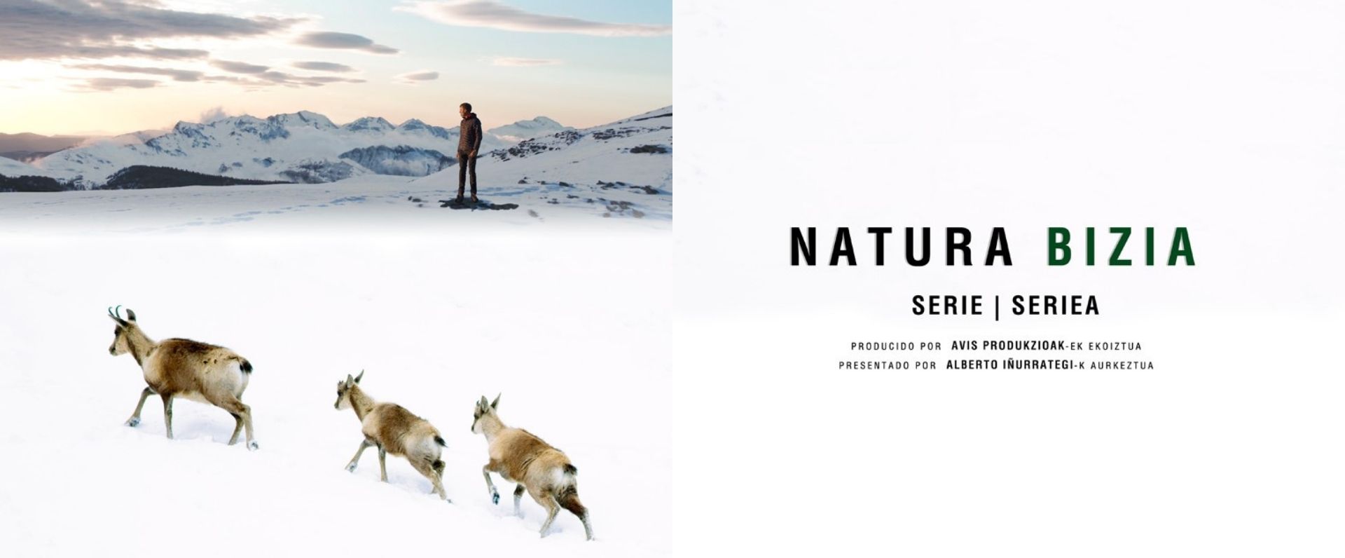 Estreno en castellano de la serie Natura Bizia patrocinada por Ihobe, esta noche en ETB2