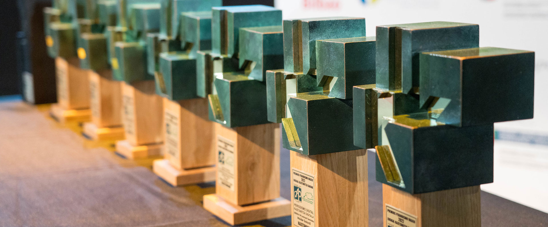 Jokin Aldazabal, Premio de Periodismo Ambiental 2024
