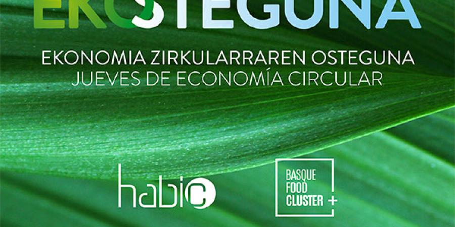 Ekosteguna: El ecodiseño como estrategia para la mejora ambiental de envases y embalajes