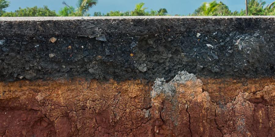 SEMINARIO WEB  Mesa Redonda: Uso del suelo ante la emergencia climática 